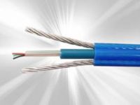 礦用測溫電纜專供